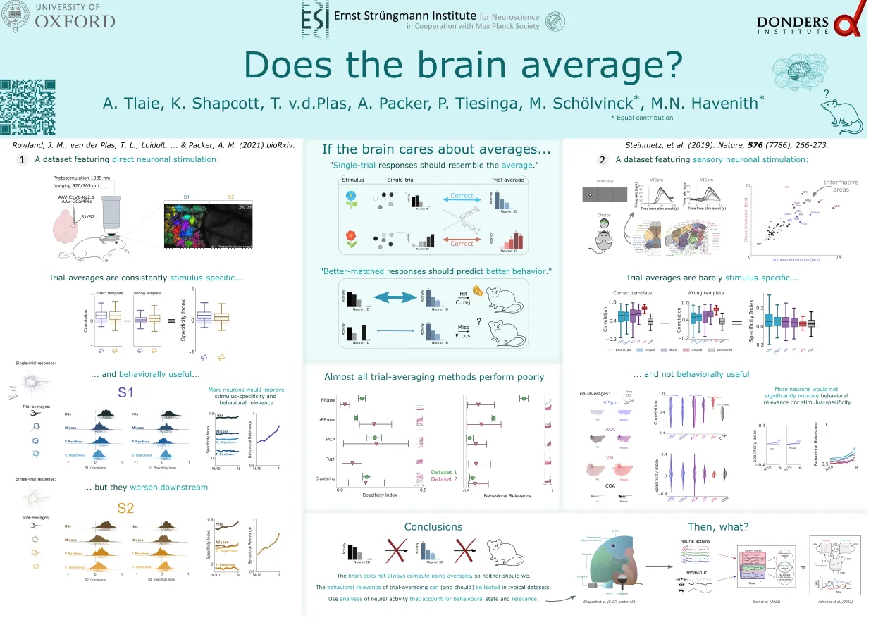 Conference poster, “Does the brain average?”, testing whether trial-averaged neural responses are stimulus-specific and useful for behaviour in two mouse datasets, one with direct neuronal stimulation and one with sensory stimulation